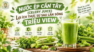 NƯỚC ÉP CẦN TÂY (CELERY JUICE): LỢI ÍCH THỰC SỰ SAU LÀN SÓNG TRIỆU VIEW